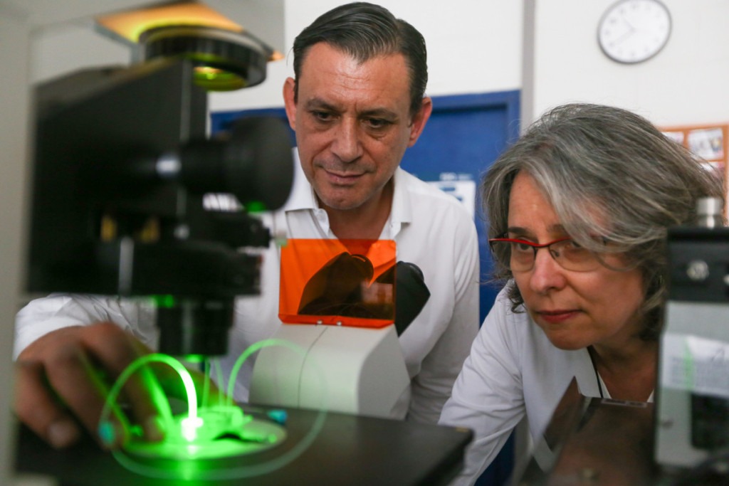 Homem branco e mulher branca observam juntos, em um ambiente de laboratório, um dispositivo para triagem de fármacos, com o auxílio de equipamentos de pesquisa. Fim da descrição.